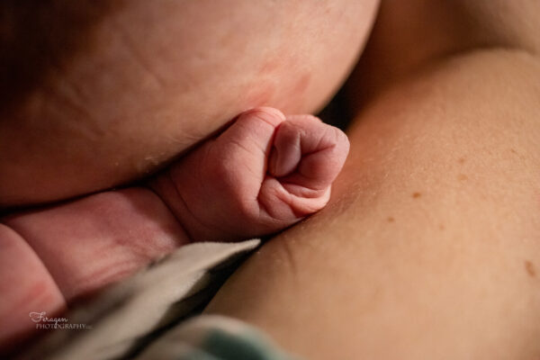 Close up photo of newborn's hand, making a tight fist.