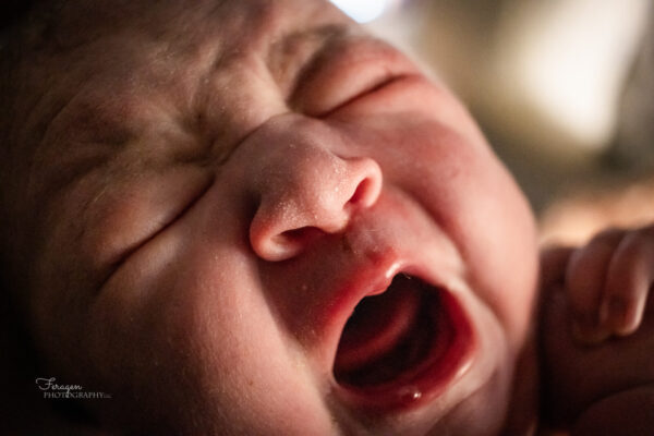 Close up photo of newborn's face while crying.